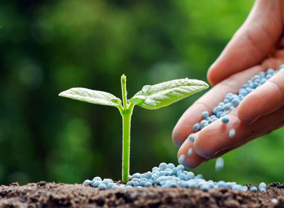  Fertilizer 